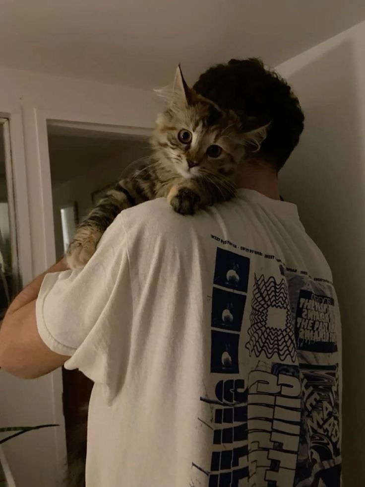 ryanfinalboy's tweet photo. ryan is a dog person and naim is a cat person https://t.co/g5inUzG6Ci