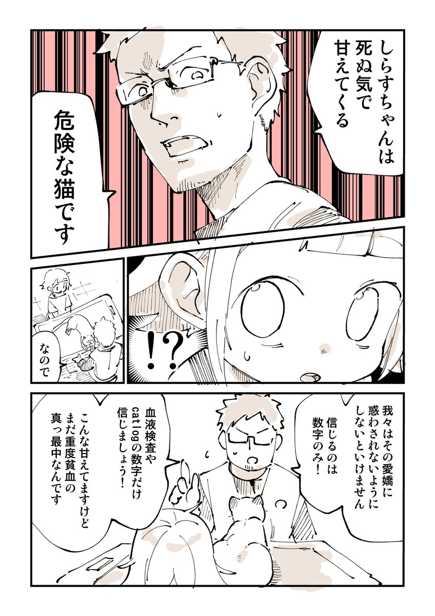 猫はSOSを出さない9【ハーレム編】2/2 