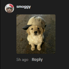 emoplvg's tweet photo. There is a hella bullish dog right now that hasn't been tokenized and migrated on the blockchain yet

There's a crashcoin rn that currently migrated and it gave me the idea to actually run this properly.

A puppy called Mister Ritz is going giga viral literally every single day rn, millions of views and likes on multiple posts.

https://t.co/iZ6Qj3nons