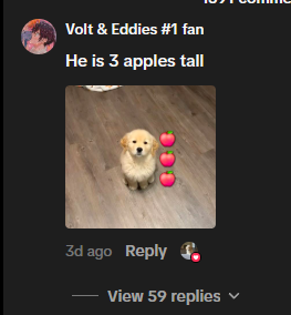 emoplvg's tweet photo. There is a hella bullish dog right now that hasn't been tokenized and migrated on the blockchain yet

There's a crashcoin rn that currently migrated and it gave me the idea to actually run this properly.

A puppy called Mister Ritz is going giga viral literally every single day rn, millions of views and likes on multiple posts.

https://t.co/iZ6Qj3nons