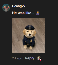 emoplvg's tweet photo. There is a hella bullish dog right now that hasn't been tokenized and migrated on the blockchain yet

There's a crashcoin rn that currently migrated and it gave me the idea to actually run this properly.

A puppy called Mister Ritz is going giga viral literally every single day rn, millions of views and likes on multiple posts.

https://t.co/iZ6Qj3nons