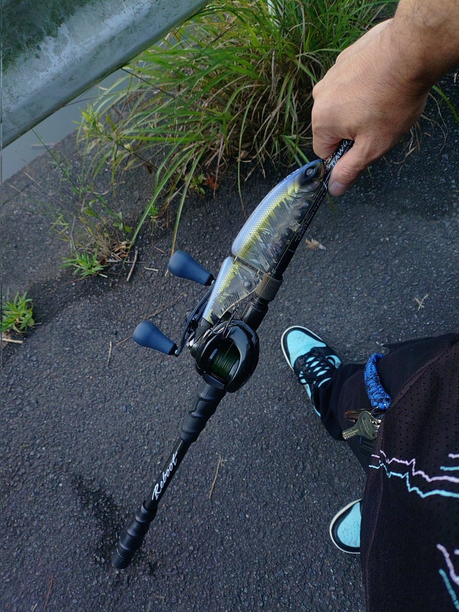 FilterIchi's tweet photo. よく釣れると言われるビックベイトの代表ルアーのクラッシュ9
わてくし1年以上投げ続けているにもかかわらず釣果0のルアーである笑
今日も仕事帰りに２回チェイスさせて50アップかけたのに即バラシ・・・
俺はビックベイターにはなれぬ笑 https://t.co/0SMB4kWOrI