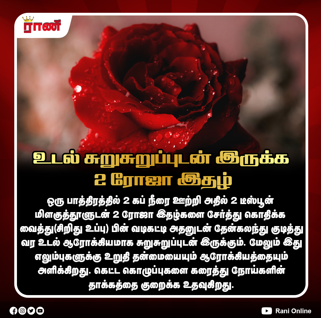 Rani_online's tweet photo. உடல் சுறுசுறுப்புடன் இருக்க 2 ரோஜா இதழ்
#HealthTips #NaturalRemedy #HealthyDrink #PepperTea #RosePetals #HoneyBenefits #Wellness #HealthyLifestyle #ImmunityBoost #BoneHealth #FitnessTips #ranionline https://t.co/XZdLKFXGjW