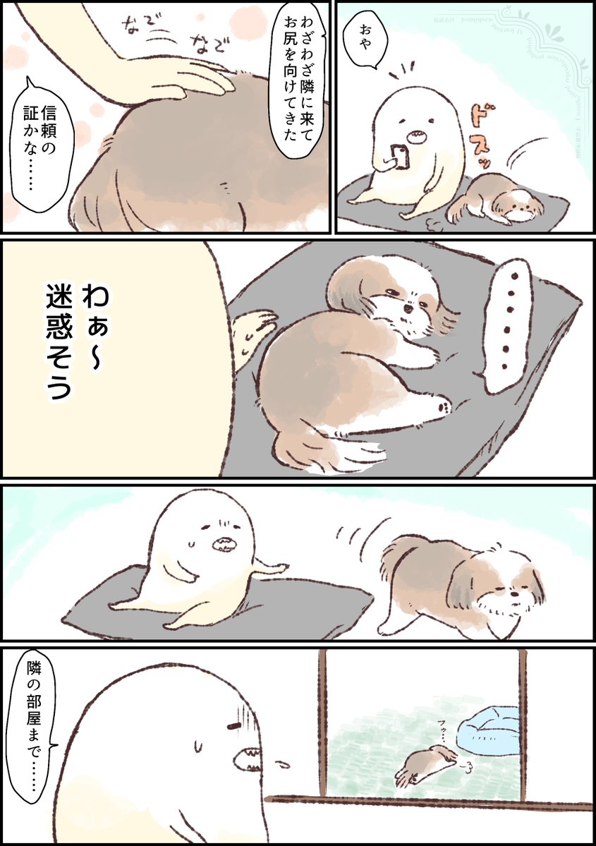 2inuinu's tweet photo. 日記です
求めてない『撫で』にNOを示せる犬 https://t.co/GlSzY2MeEb
