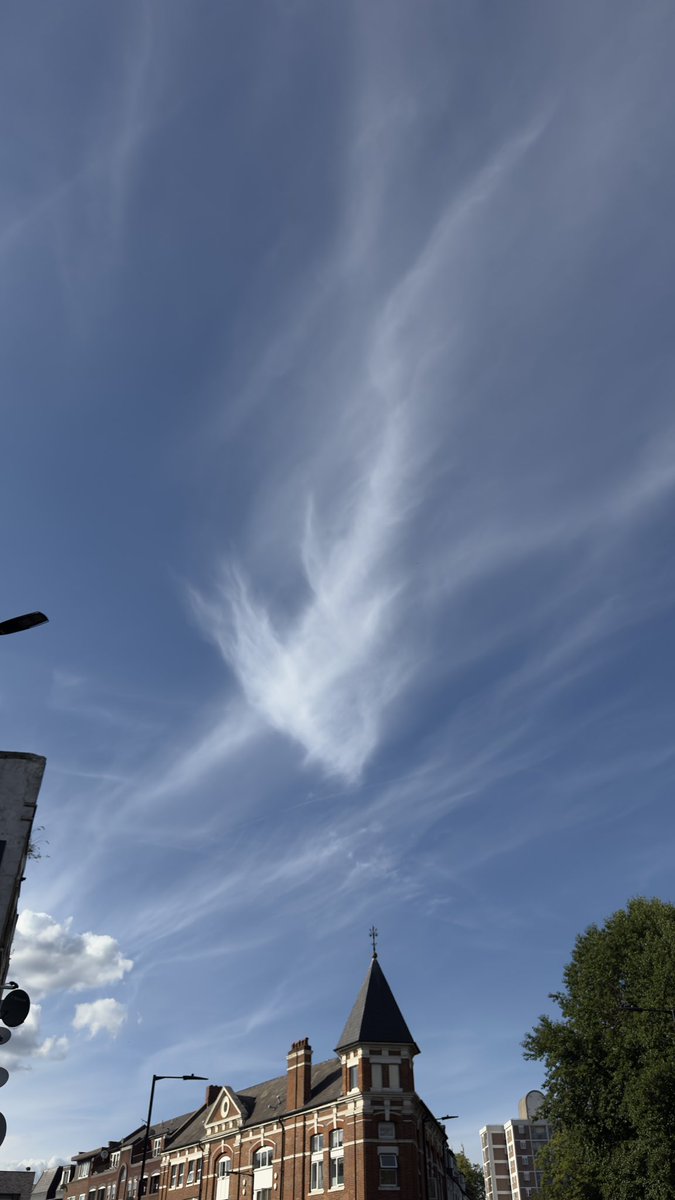 dumb13d00r's tweet photo. yesterday i saw jellyfishes in the sky and a fish🤭☺️😌 https://t.co/7gGEhsm0e4