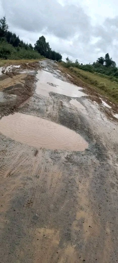 Kimuzi_'s tweet photo. I took the first pic when I used that route the first time.

Second frame is last year.

Timboroa-Drys-Naiberi-Kaptulu-Moiben.

Kuna shida Na contractors Kenya. https://t.co/NVA9q4XDFj