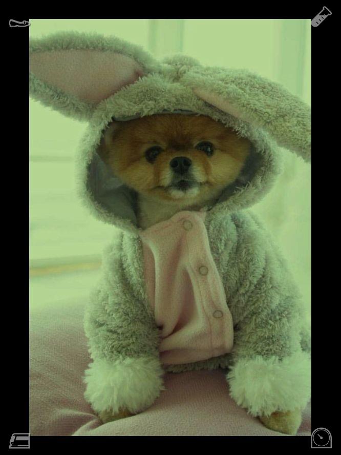 Ahsire1's tweet photo. Eleanor表示赞同，并走回正微笑着的Arthur身边。Arthur说道：“看吧？到处都是联系。我们通过爱、记忆、歌曲、柠檬面包以及湖边的石头紧密相连。”🤣冰淇淋冻住了，那是巧克力味的。 https://t.co/3Nfb9Inlnw