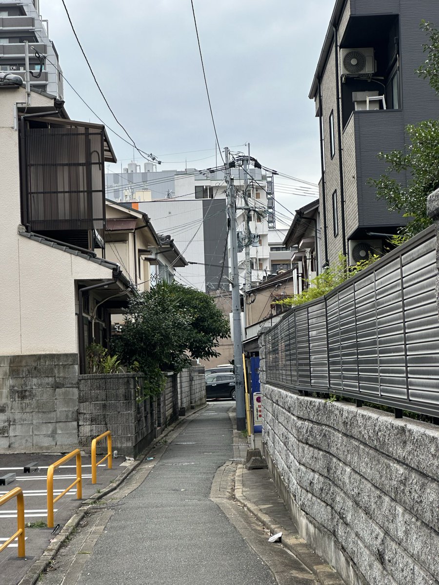 DVKim88's tweet photo. https://t.co/2hg5vnS0E8