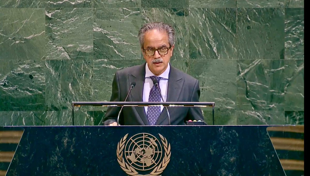 Pakistan Slams UN Failure to Revise Anti-Terror Strategy, Warns of Rising Islamophobia and State-Sponsored Terrorism