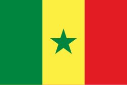 🇲🇦 tweet media