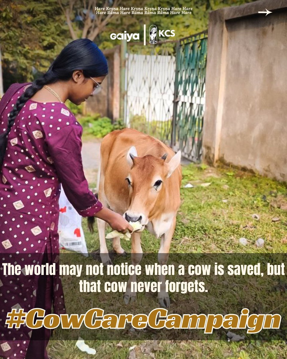 ProjectGaiya's tweet photo. Save mother cows! #GAIYA https://t.co/JlcOKwsIMc