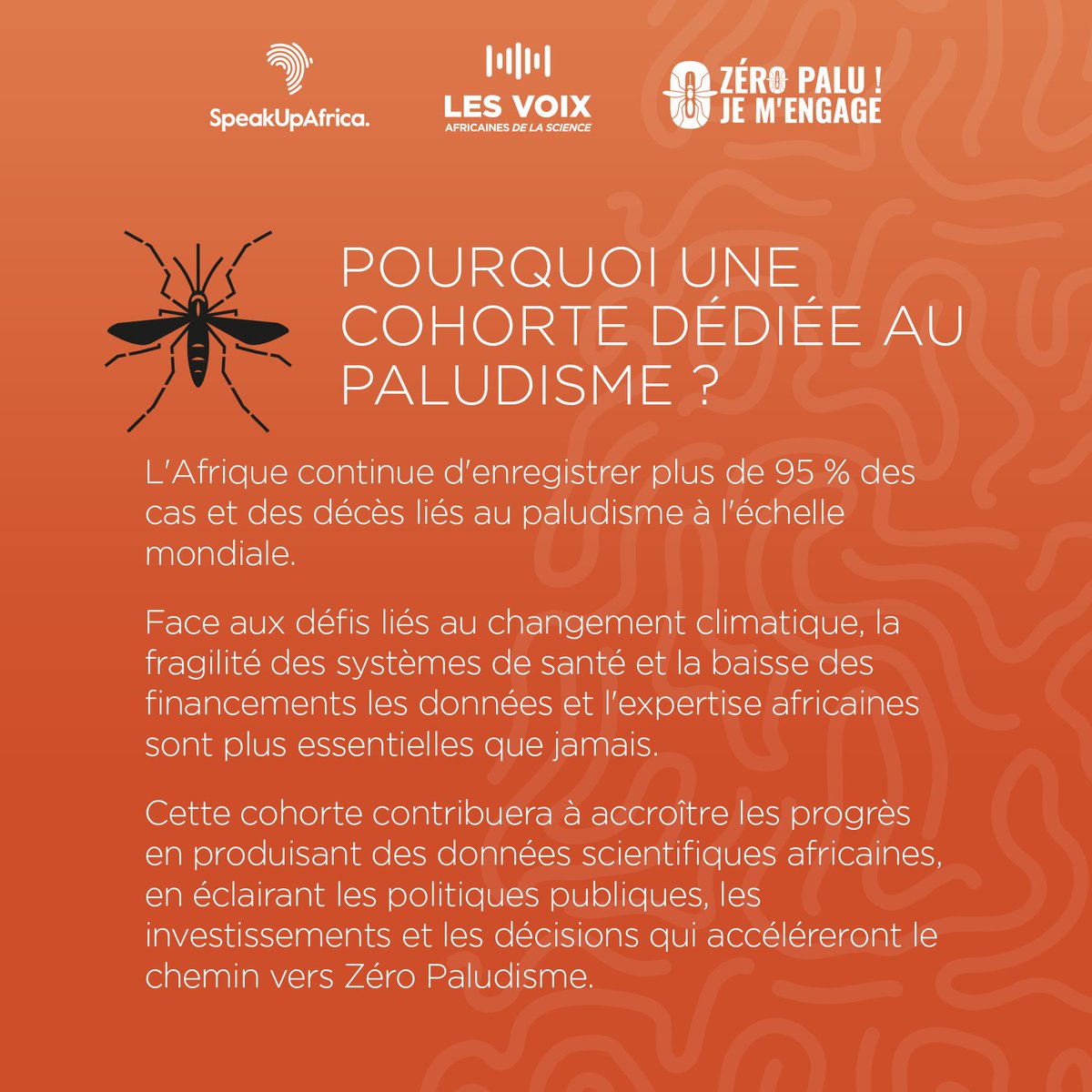 SpeakUpAfrica1's tweet photo. À travers cette troisième cohorte, placée sous le thème « 𝐋𝐞 𝐜𝐡𝐞𝐦𝐢𝐧 𝐯𝐞𝐫𝐬 𝐙𝐞́𝐫𝐨 𝐏𝐚𝐥𝐮𝐝𝐢𝐬𝐦𝐞 », #AVoS poursuit son engagement en faveur d'une science africaine plus visible, plus influente et plus proche des décideurs. https://t.co/iQApanwoIg