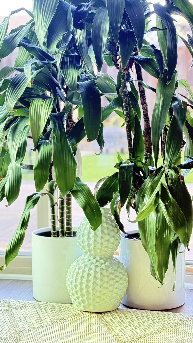 Lucky2Seven's tweet photo. Creating a home that makes me smile every single day. 🤍 https://t.co/m2w7IXNn6Y