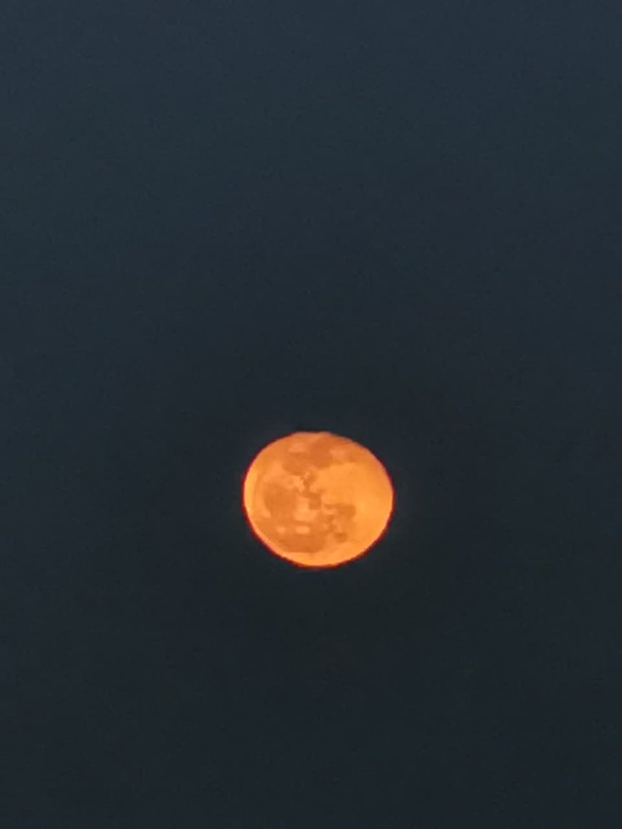 hikmahnyaaaaaaa's tweet photo. Bulan malam ini, tadi pas terbit warnanya merah🍓 saranku kalau mau foto bulan mulai habis magrib sampai jam 8 soalnya kalau kemalaman bulannya bakalan kelihatan lebih kecil,putih dan rawan ketutup awan https://t.co/IobnjsEMml