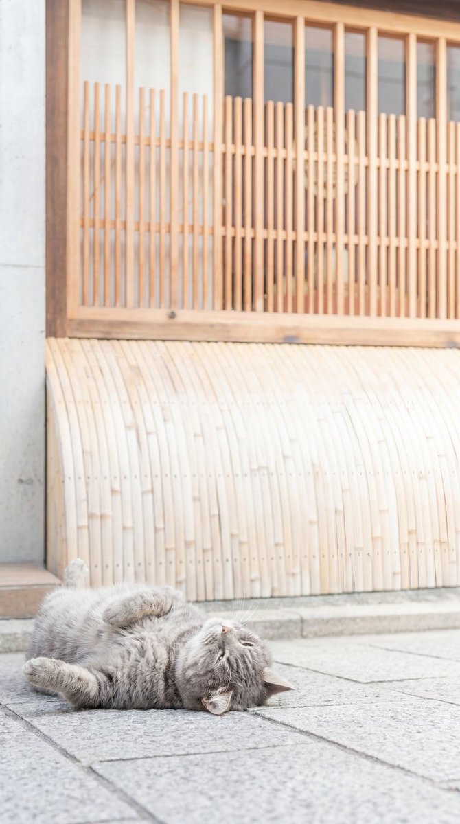 Aoi@Zen Japan | Digital Art & Scenery tweet media