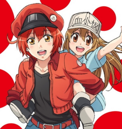 animetrends's tweet photo. LA PESADILLA DE CELLS AT WORK

La creadora del popular manga "Cells at Work", Akane Shimizu, reveló el verdadero infierno que vivió por culpa de su antiguo editor.

La autora explicó que durante años suplicó por asistentes y supervisión médica para su obra, pero el editor la ignoró y la culpó de no saber organizarse.

La constante presión y los maltratos quebraron por completo su salud física y mental hasta llevarla al límite, obligándola a terminar prematuramente la historia principal en 2021.

Afortunadamente, Shimizu confirmó que logró escapar de ese ambiente tóxico, tiene un nuevo editor y actualmente supervisa los nuevos proyectos de la franquicia.

El éxito casi la destruye.