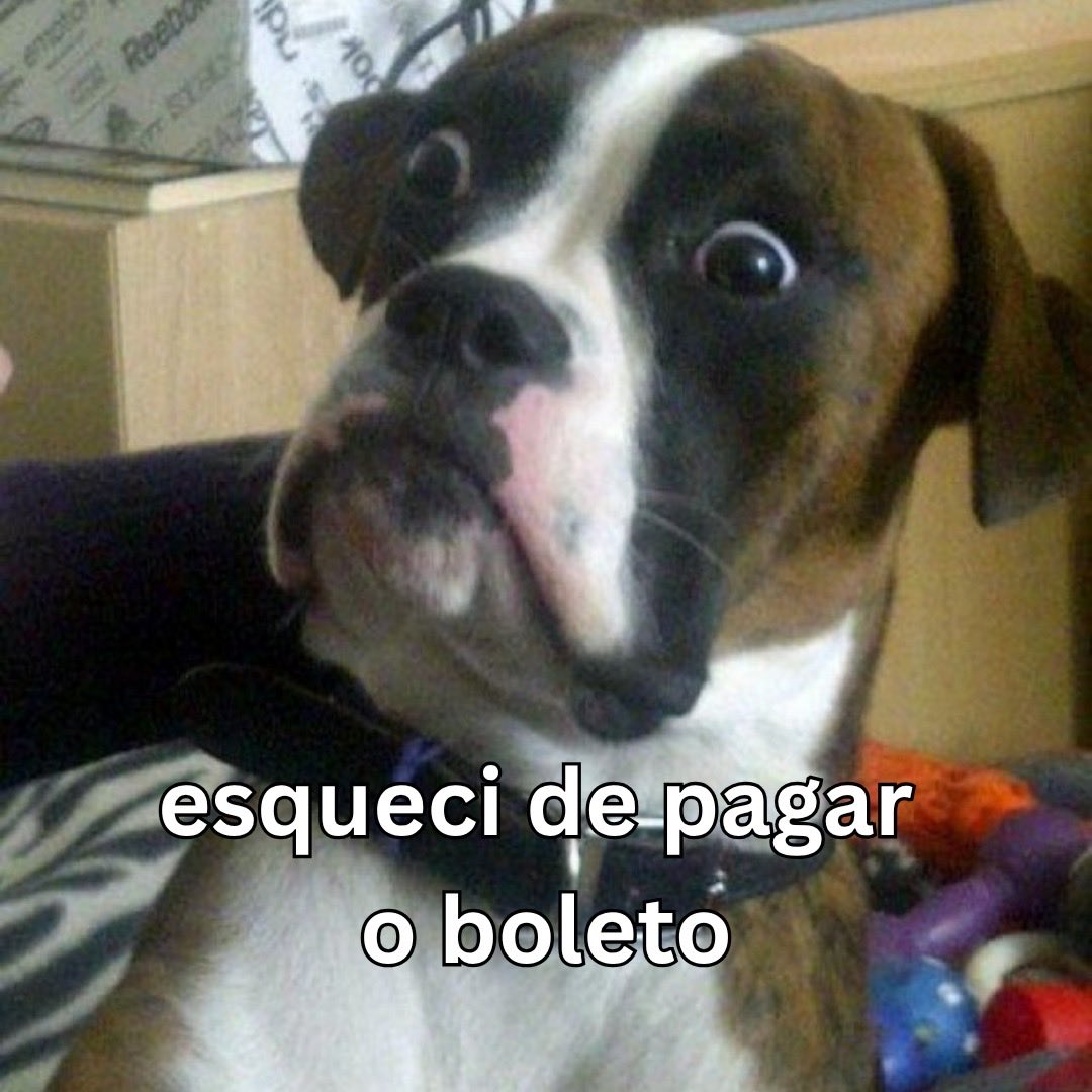 toki_bra's tweet photo. "vou lembrar depois" https://t.co/f5YTb2eT93