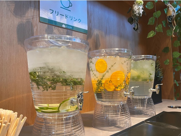 SaunaTrip_JP's tweet photo. 日本初"泊まれる植物園"にサウナがある

・5万本の植物に囲まれた洞窟サウナ
・井戸水かけ流しの水風呂
・茨城県那珂市の自然リゾート

♨️THE BOTANICAL RESORT 林音 https://t.co/TyIqNox6x3