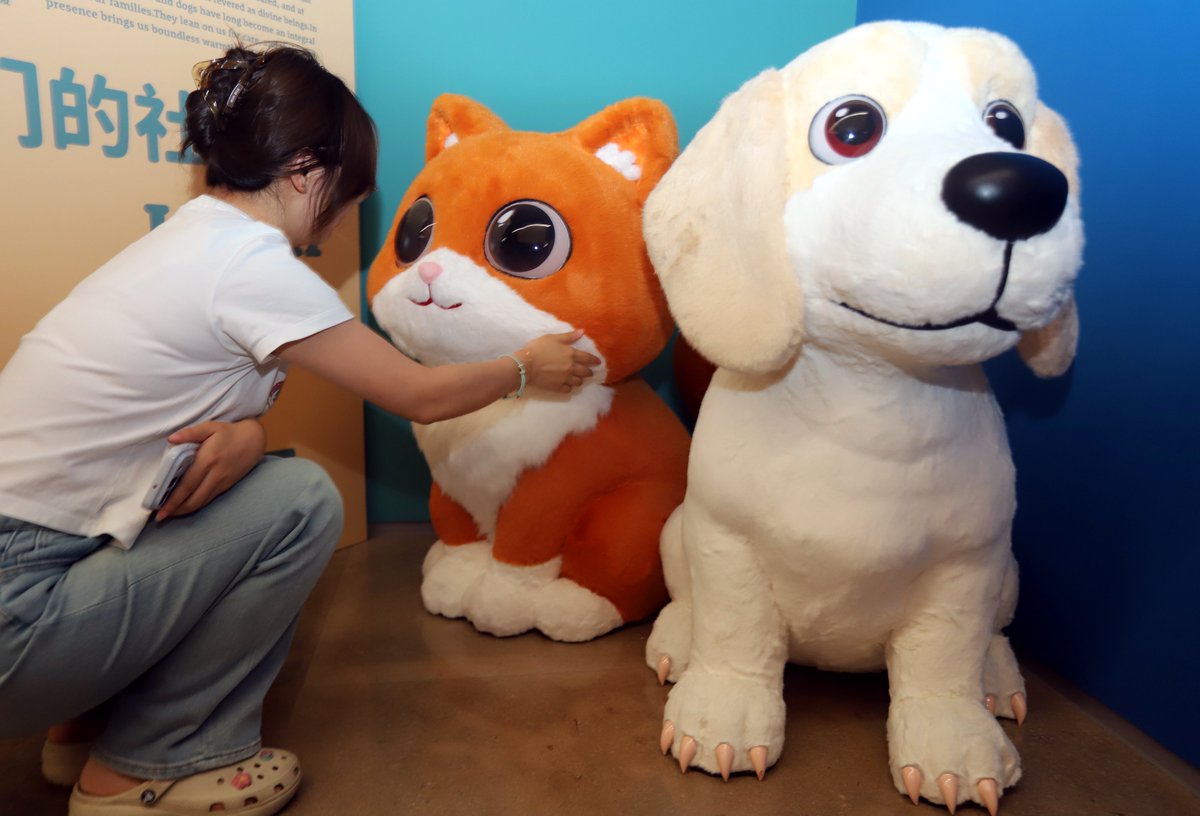 SND_China's tweet photo. Calling all cat and dog lovers!

In collaboration with @universcience, Suzhou Museum West is hosting a 'Cats &amp; Dogs' exhibition through Oct 10. Come explore scientific insights into our furry companions🐾! https://t.co/SlhfUgikEZ