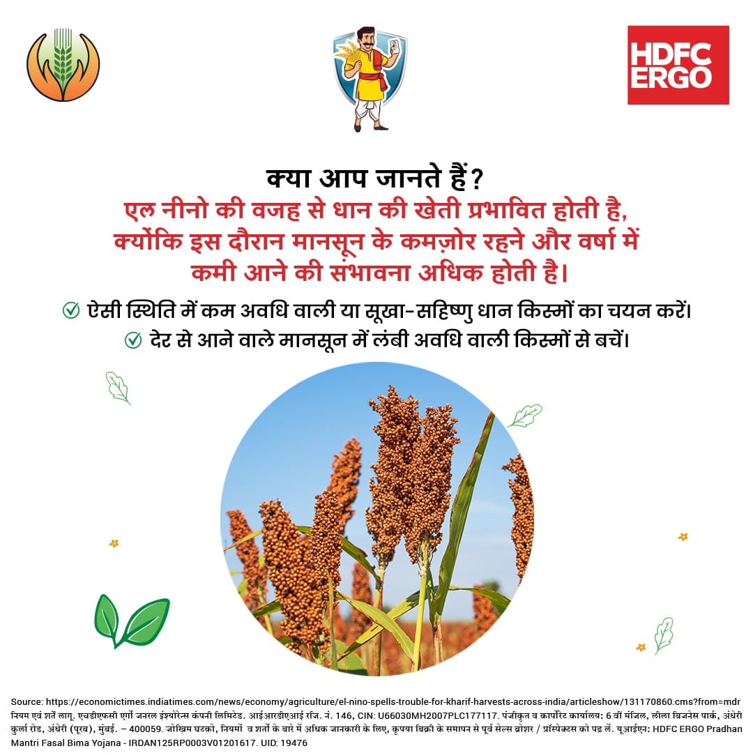 HDFCERGOGIC's tweet photo. जब सूखा बने चुनौती, तो सही समय पर सिंचाई बने समाधान।

धान की फसल में फूल और दाना बनने की अवस्था सबसे नाज़ुक होती है। एल नीनो जैसी परिस्थितियों में अगर सिंचाई का पानी सीमित हो, तो इसी चरण को प्राथमिकता देना ज़रूरी है।

सही समय पर सही फैसला, बचाता है पूरी फसल।

@pmfby  
#HDFCERGO #एलनीनो #धानकीखेती #सिंचाईप्रबंधन #किसानसलाह #ClimateSmartFarming #PMFBY