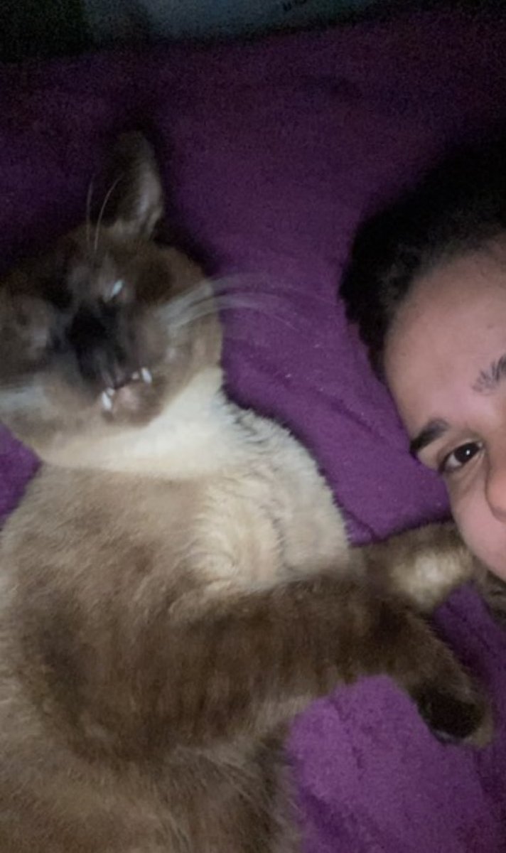 thaynnac0's tweet photo. véi meu gato https://t.co/xD8YRWSb0s