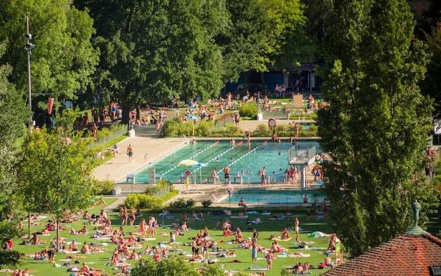 IfindRetards's tweet photo. Swiss city of Bern apologises to a man pretending to be a woman after police removed hin from a female only nudist bathing area after complaints from actual women. He refused to leave, got tackled & detained, now the city says sorry and claims his "registered sex" gives him the right to be there naked around women. Retard world