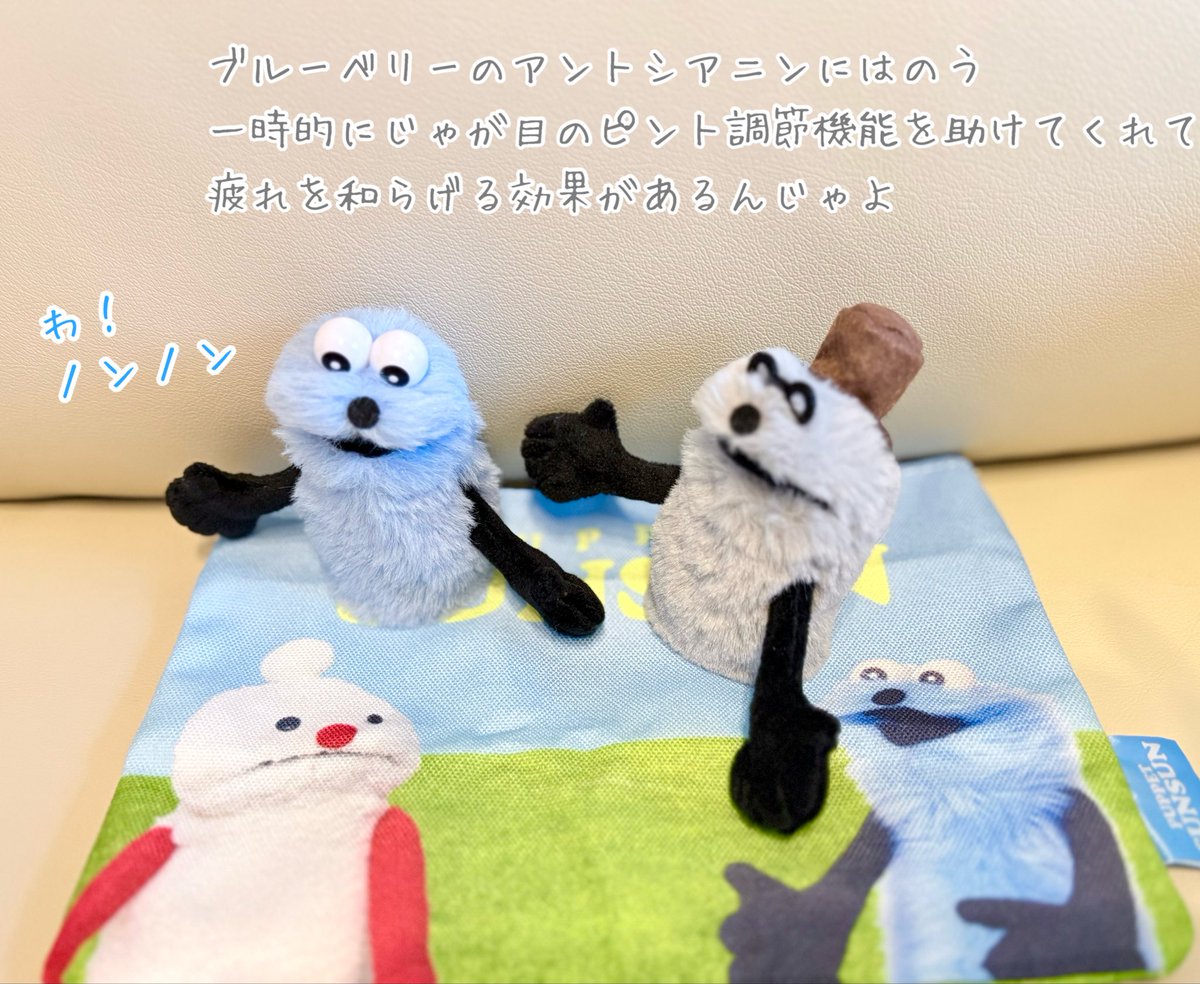 ぬい活