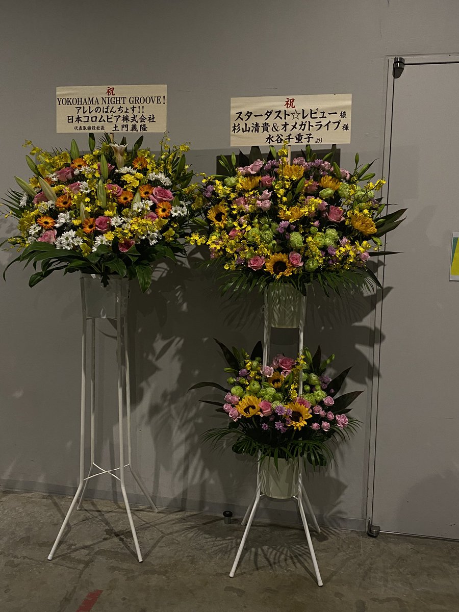 kkns_tk's tweet photo. 夢のような時間だった…楽しすぎて嬉しすぎて…はぁ〜
アリーナから振り向くとキラキラ綺麗なライトの海✨
ステージ上のお兄さまたちの笑顔も眩しくて✨
アレレのぱんちょすの皆さん、お疲れ様でした‼️そしてありがとう❤️ https://t.co/rSImianhxO