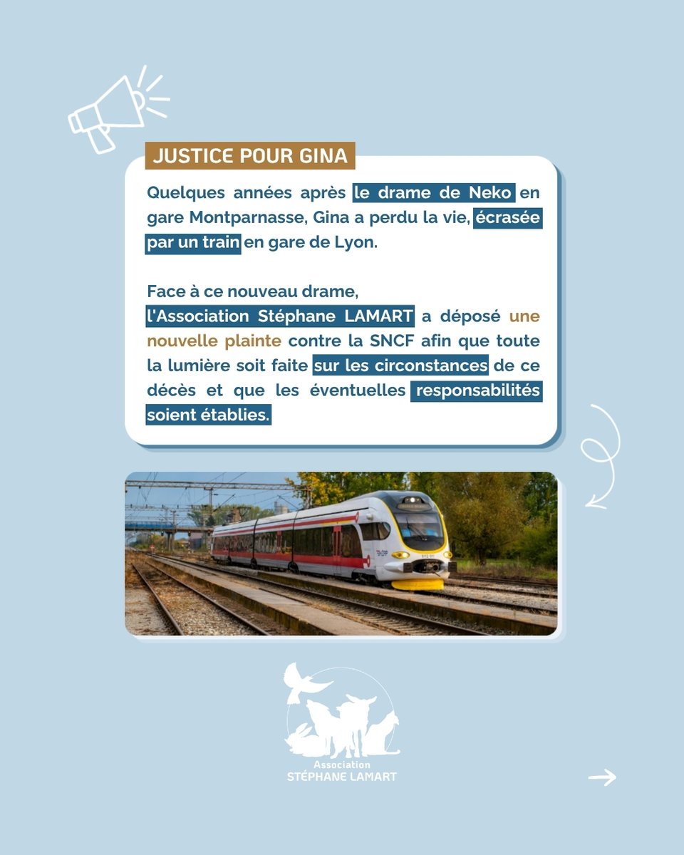 StephaneLAMART's tweet photo. 🚨 BREAKING NEWS 🚨
Quelques années après le drame de #Neko en gare #Montparnasse, un nouveau chat, #Gina, a perdu la vie, écrasée par un train en #garedeLyon.
Face à ce nouveau drame, l'Association Stéphane LAMART a déposé une nouvelle plainte contre la #SNCF afin que toute la lumière soit faite sur les circonstances de ce décès et que les éventuelles responsabilités soient établies.
Ce nouveau drame rappelle la nécessité de renforcer les mesures mises en œuvre lorsqu'un animal est signalé sur les voies, dans le respect des impératifs de sécurité ferroviaire.
Notre association appelle une nouvelle fois la SNCF à revoir ses procédures afin que de tels drames ne se reproduisent plus.
🐾 Chaque vie animale mérite d'être protégée.
@obenkemoun
#AssociationStephaneLamart #ProtectionAnimale #JusticePourGina #CauseAnimale #DroitsDesAnimaux #SNCF #Gina #Neko #Justice #Animaux