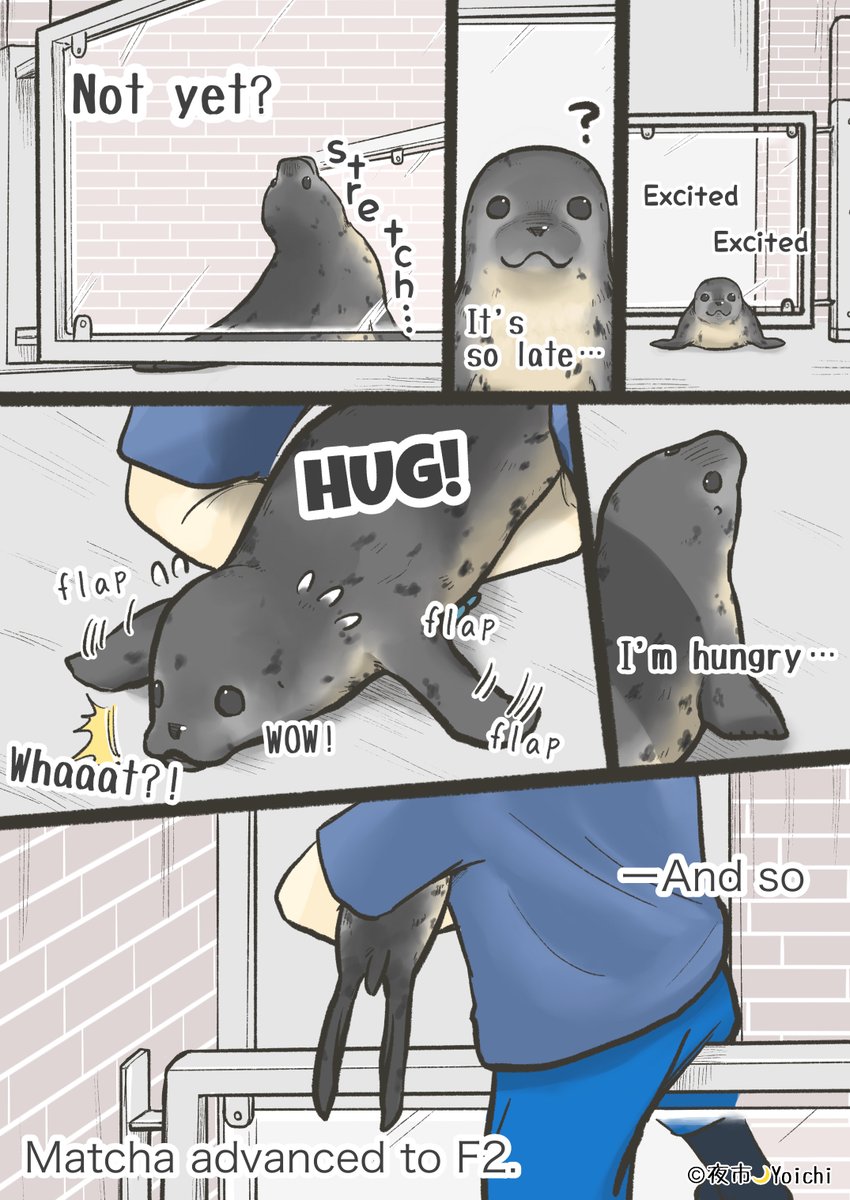 cocoa (@nekoneko898) / Posts / X