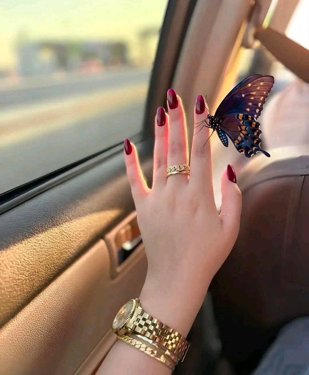 غـزالـة 🦌 tweet media