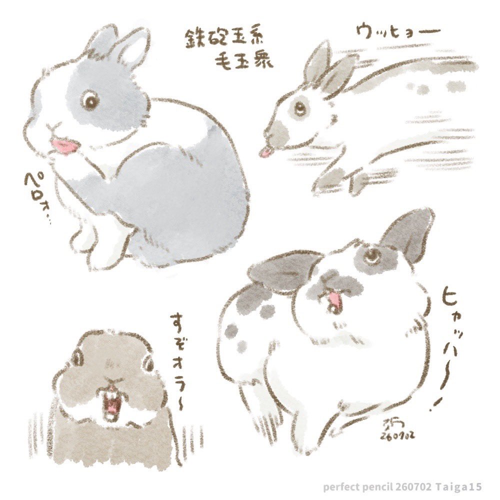 taiga15's tweet photo. ✏️ウサッチャン🧡 https://t.co/gL1A3N6DYR