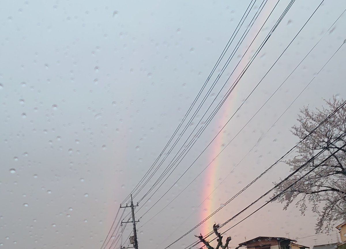 tpapat284264's tweet photo. フォルダ整理してたらいつぞやのダブルレインボー🌈🌈
桜が写ってるから春頃ですね🌸
見つけて走行中の車内から咄嗟に撮影した記憶が…
 #XPERIA https://t.co/ZmsTVH7dYg