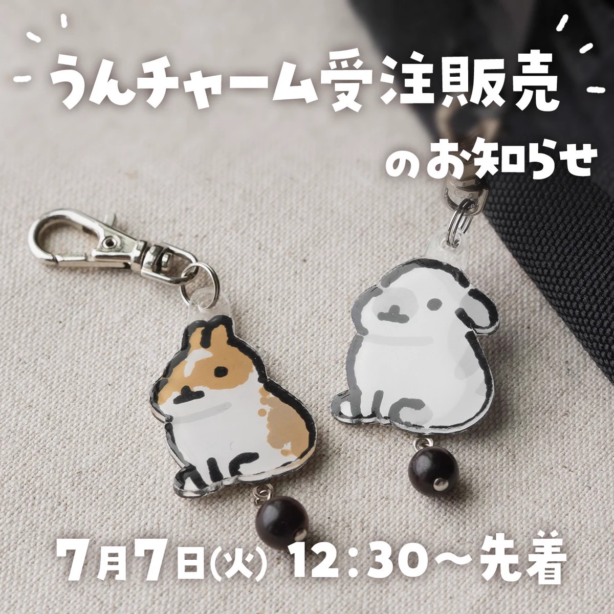 うさちゃんᙏ̤̫⑅*チャームෆ‪⸒⸒③ FLUFFLOP 🐰 フラッフロップ on X: 