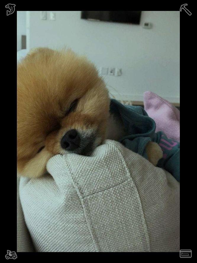 Trungaa17034's tweet photo. 她跪下身，用袖子擦去污垢，读出了刻在金属牌上的文字：“献给最爱星空的克拉拉——永远铭记在我们心中。”🚈我的灵魂栖息于心之所向。 https://t.co/MMivrjdSh6