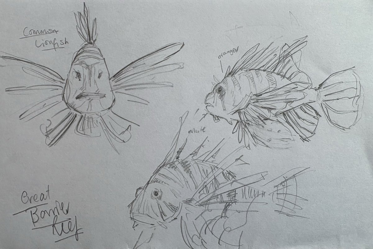 elysionarts's tweet photo. aquarium studies https://t.co/iT0Voa8Rta