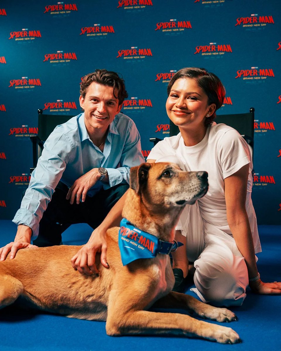 marvel_updat3s's tweet photo. Tom Holland and Zendaya for ‘SPIDER-MAN: BRAND NEW DAY’ press. https://t.co/gWsL2sxS4U