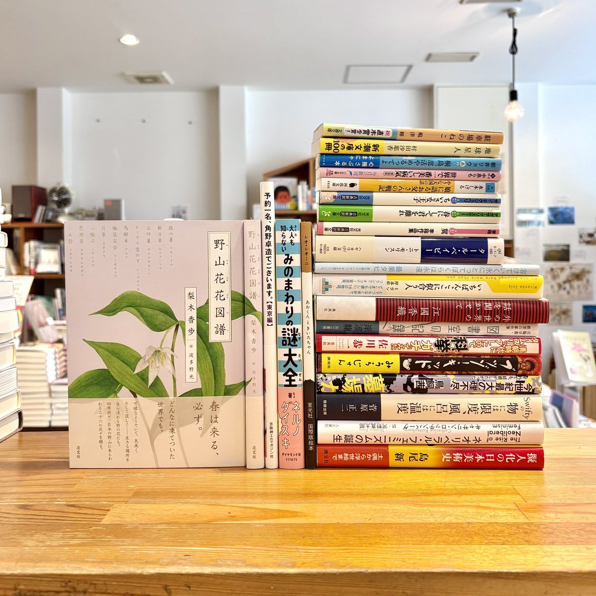殿居囊 全一冊 手書き 記録 レジの中を埋め尽くすほどの本の査定をしていたらもうこんな時間に