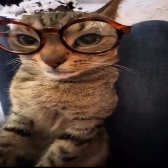 aveonhx's tweet photo. @ni5arga @vxunderground Mr smelly would love it https://t.co/dwVIRfyzWE