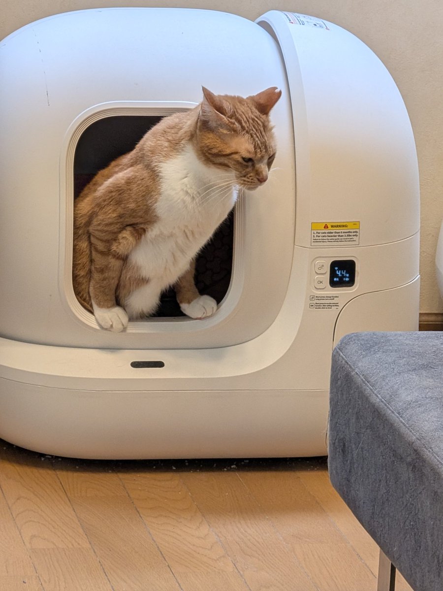 kimucoro1's tweet photo. ็ๅฃ๐บ
โ#SakuraCat #EartippedCat #CatsOfJapan https://t.co/UQuBD0vNbn