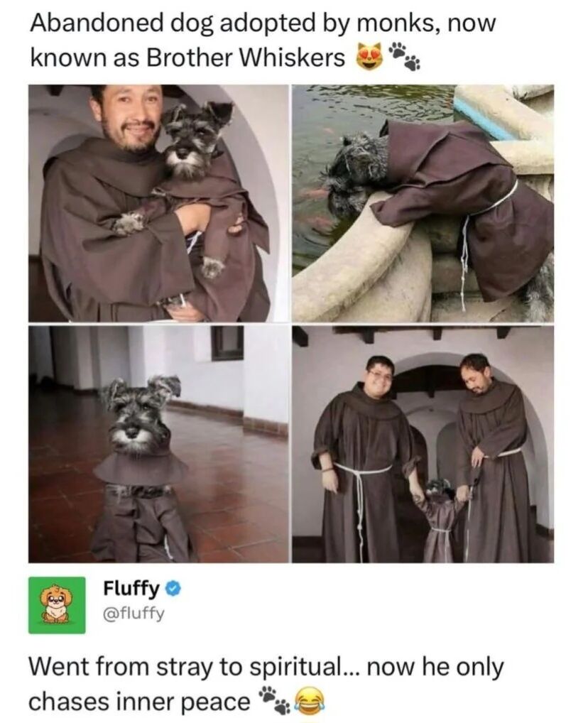 WholesomeMeme's tweet photo. https://t.co/JtEsFnvZvE