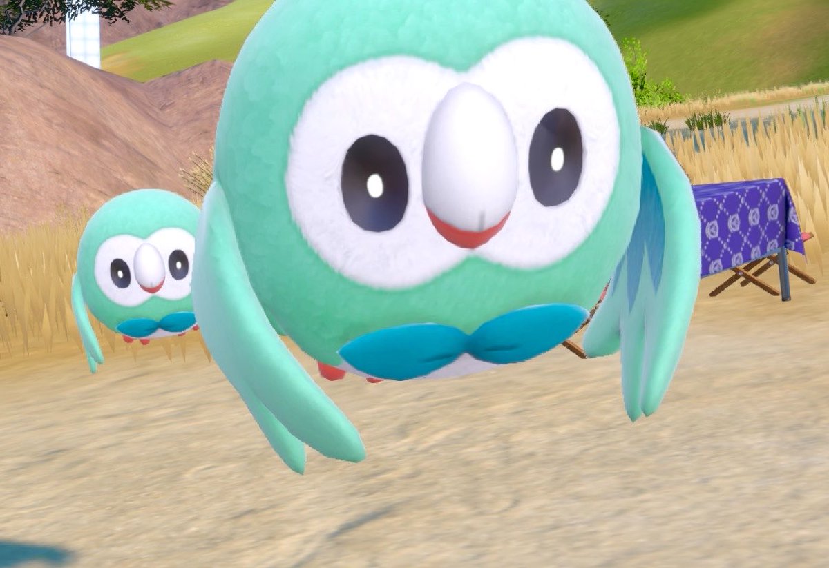 pokehunt_er's tweet photo. 어제 나몰빼미랑 놀았음... //
나몰빼미 이로치 ㄹㅈㄷ 민트코어 🩵 https://t.co/I7IsLIECVl