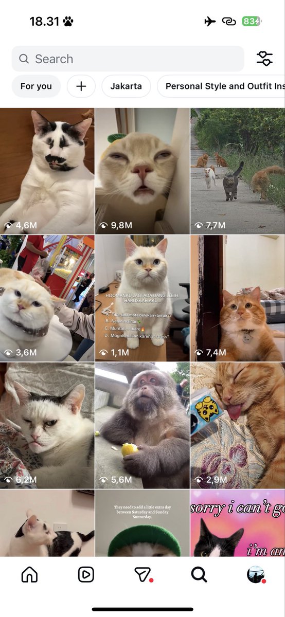 swiftzeex's tweet photo. Me and my IG explore

Meng🐱🐾 https://t.co/Z2WB4axVkB
