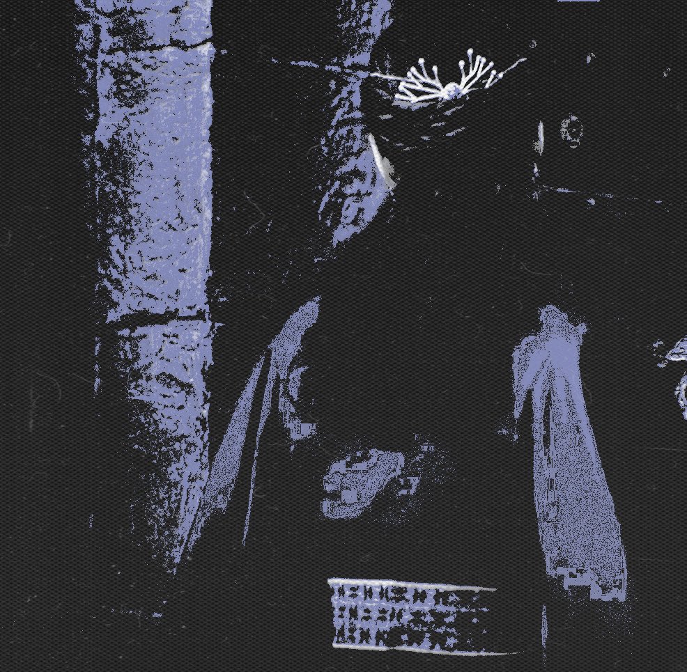 HOUSEDAMODRED's tweet photo. ⠀⠀⠀                           ꕥ

“I shall do my duty. I shall protect this kingdom and its people but if she asked, I’ll let her carve constellations on my bones.” 

     — Queen Moiraine Damodred [AU] https://t.co/l0Bs1AfvX4