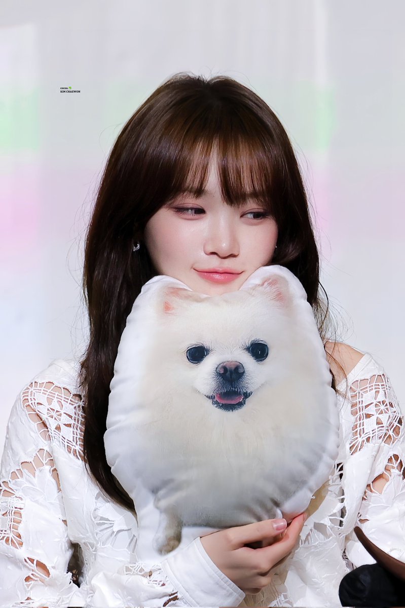 cocoa801_chae1's tweet photo. 260627 시로누나🤍🐶
#김채원 #KIMCHAEWON 
#르세라핌 #LE_SSERAFIM https://t.co/x2TY08EO9A