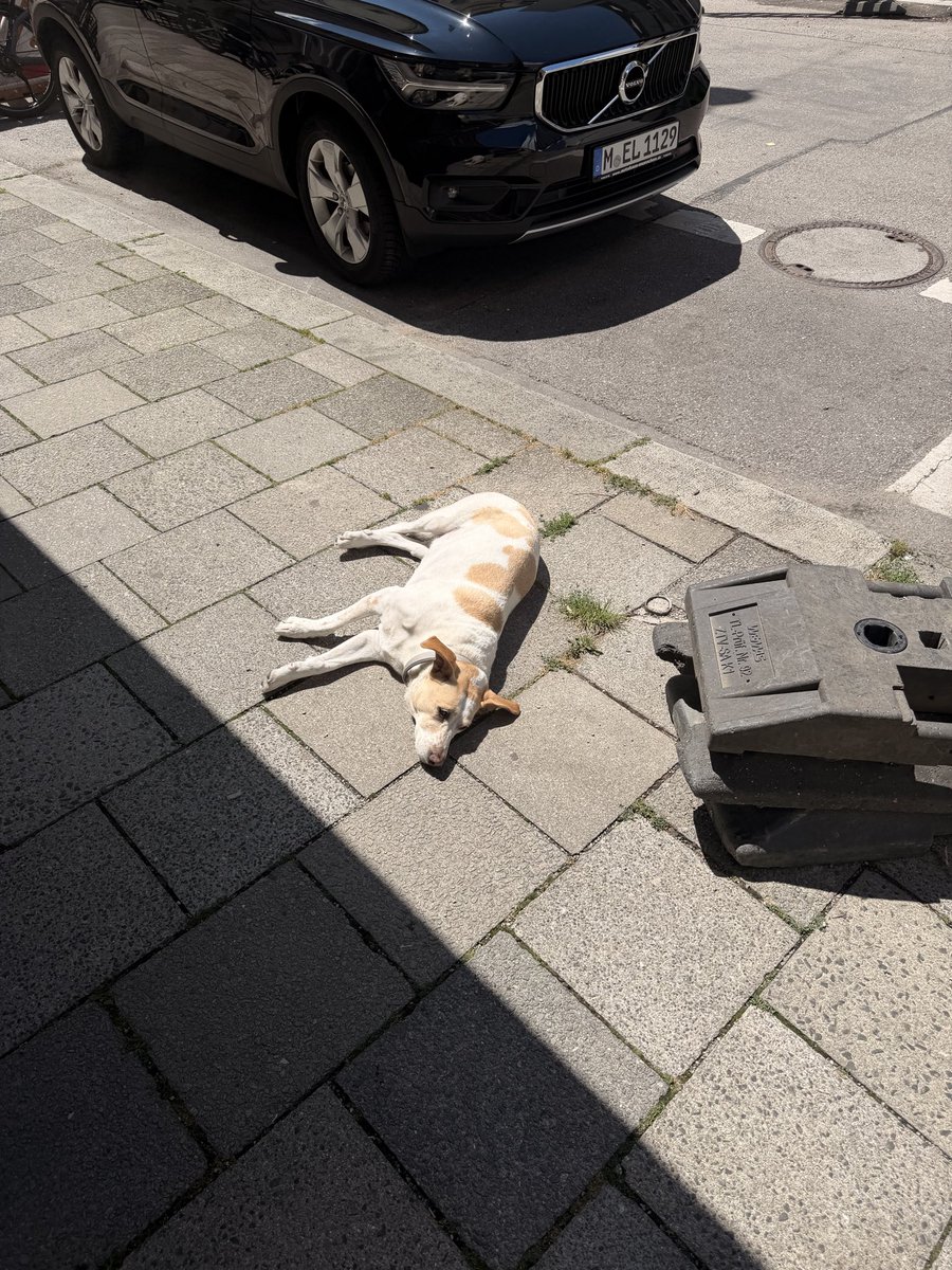 pamplemoube's tweet photo. AWWW https://t.co/FPDbQu9hDD