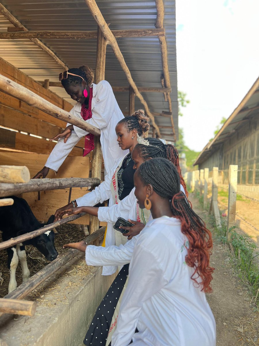 angwecrita's tweet photo. Our Queens Paid a courtesy visit to City gate Mixed farm, one of our Sponsors yesterday to say thank you and luckily one of the cows we saw days back had just given birth and guess what? We named it Queen 6 ❤. Agro tourism is such another interesting field I must say https://t.co/ExQEaODIfS