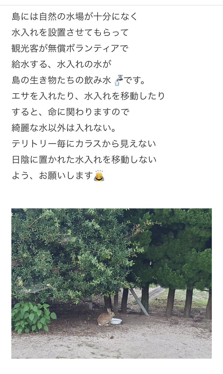 大久野島 観光客の皆様へ これから暑い夏がやってきます。 島内の至る