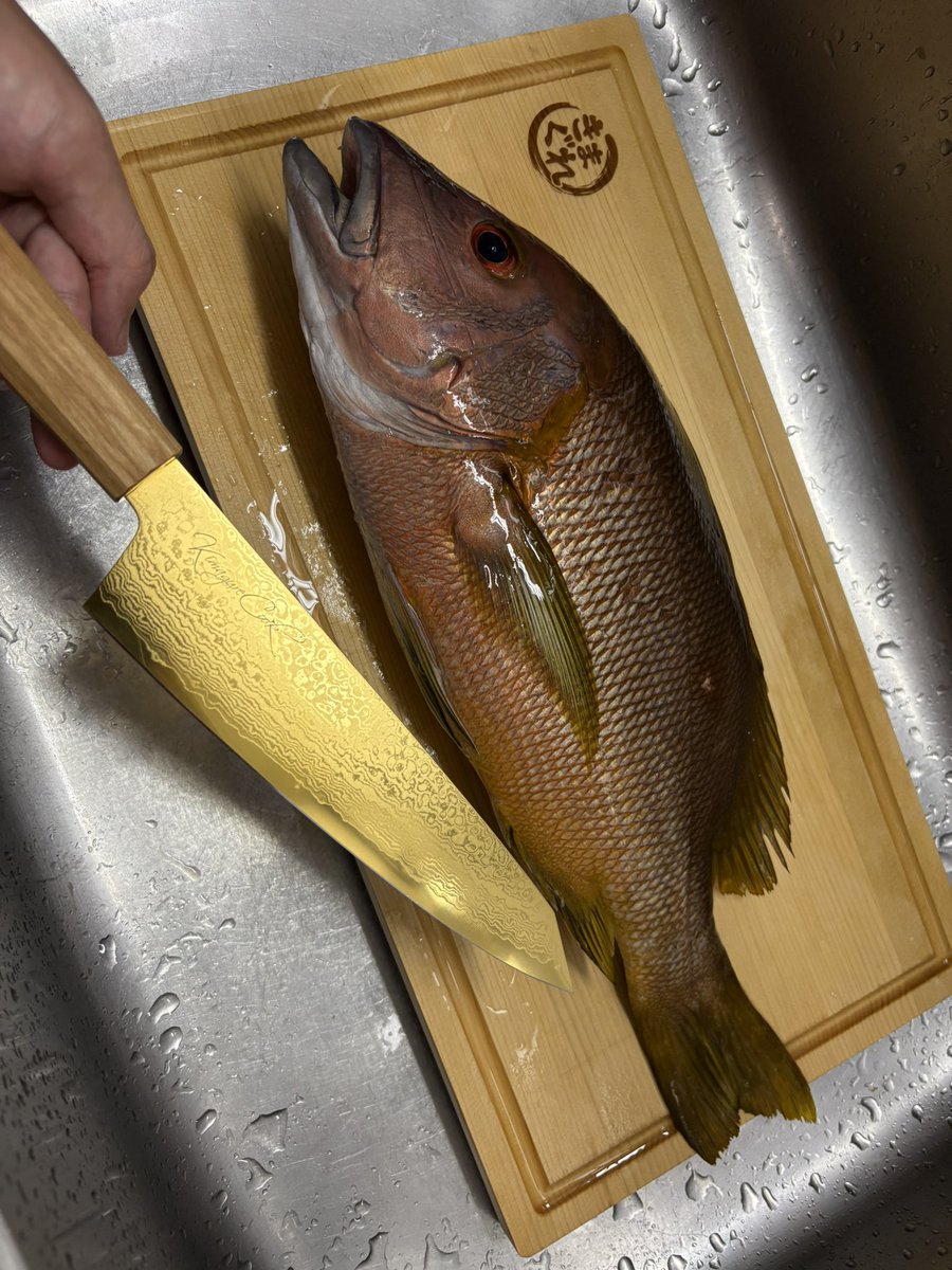 7_56_62's tweet photo. 念願のシブダイ（1.2kg）が手に入りました🐟

何年もずっと捌きたいって思ってたのでとても緊張しました😵‍💫

刺身、塩焼き、煮付けにしました🔪

3キロくらいの個体を捌いてみたいと思いました😱😱

#きまぐれクック
#うお一番　で売ってたらなぁ…
#銀色のやつ
#シブダイ
#シロホシフエダイ https://t.co/Hjzgrtv88I