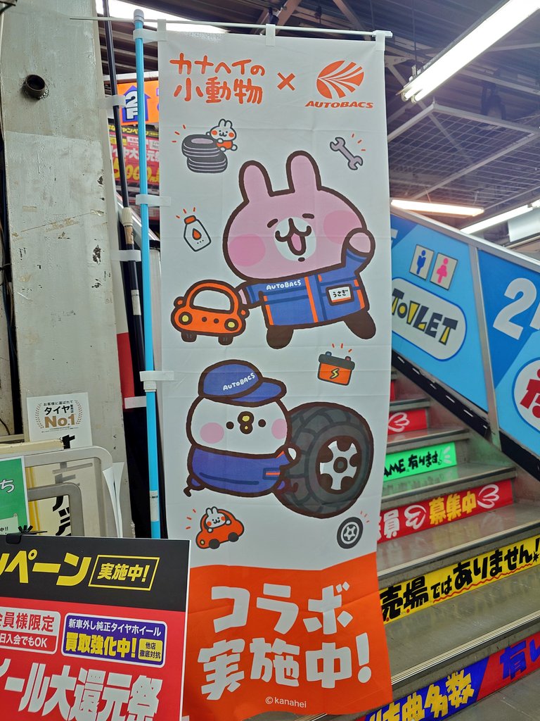 MaiPiske's tweet photo. 会社から一番近いオートバックスに行ってきた🐥🐰💨

誰よりもクルマに詳しくないって書かれてるのおもしろい🤭

#カナヘイ
#カナヘイの小動物
#オートバックス https://t.co/KHVxaNT3n1